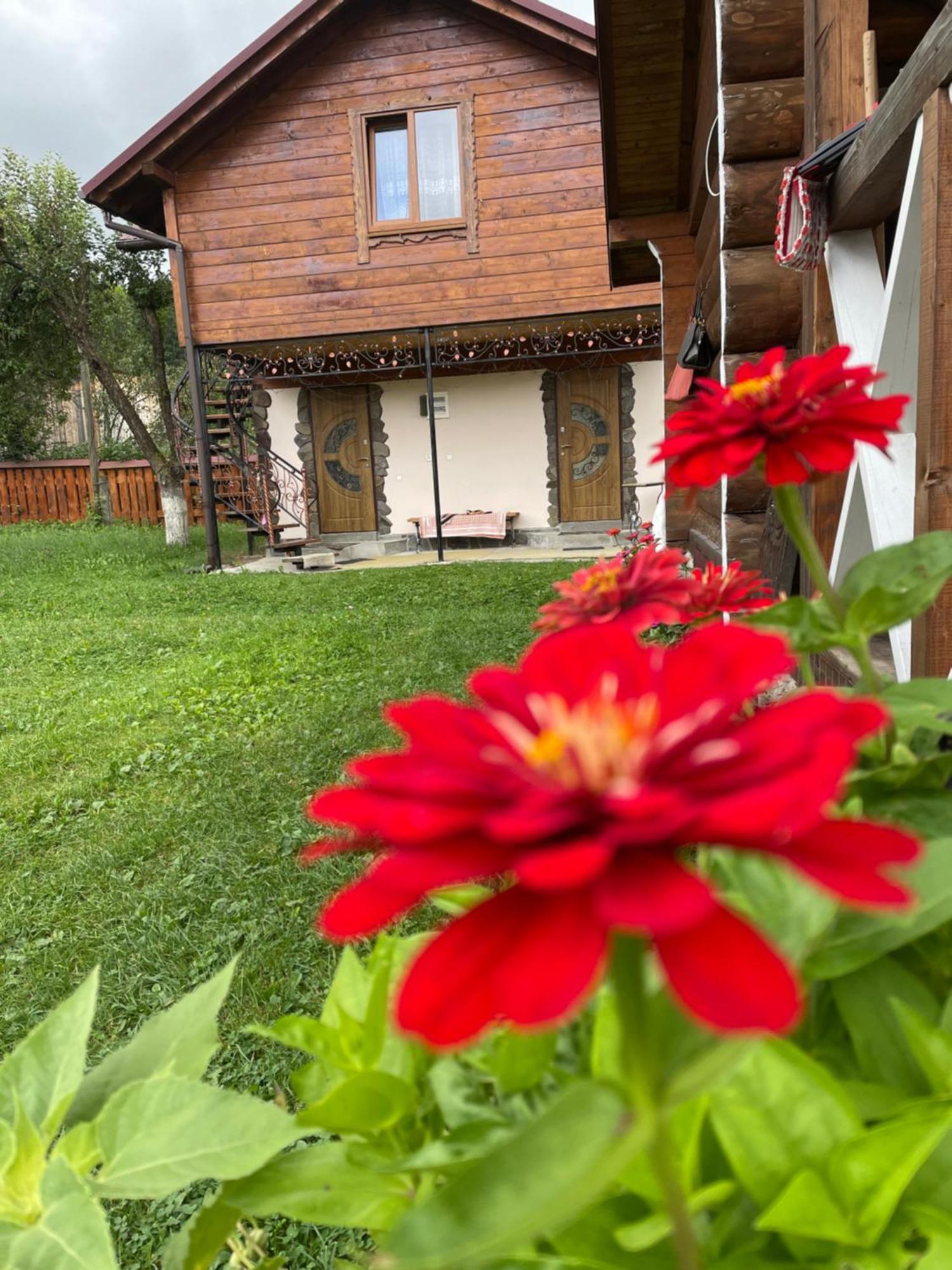 Pidkova Villa Verkhovyna Exterior photo